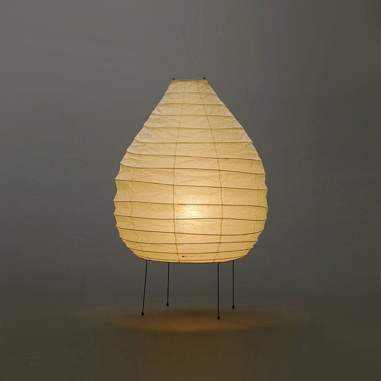 AKARI 22N